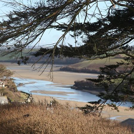 Il Giardino Bed and Breakfast New Quay Eksteriør billede
